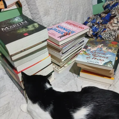 TODOS POR R$50