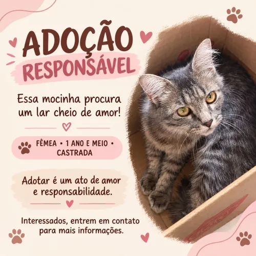 Adoção Responsável