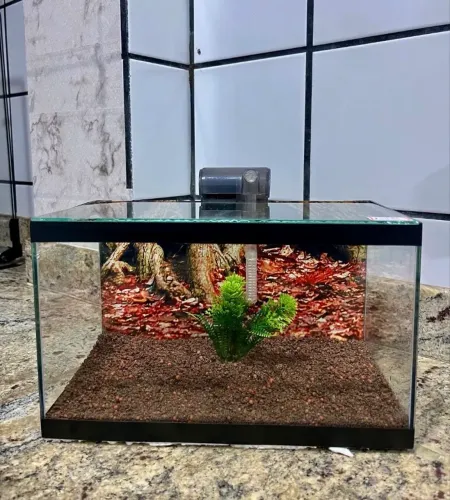 AQUÁRIO 10 LITROS COMPLETO 