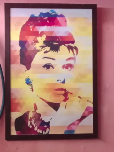 Quadro Decorativo da Atriz Classica Audrey Hepburn em retrato geometrico