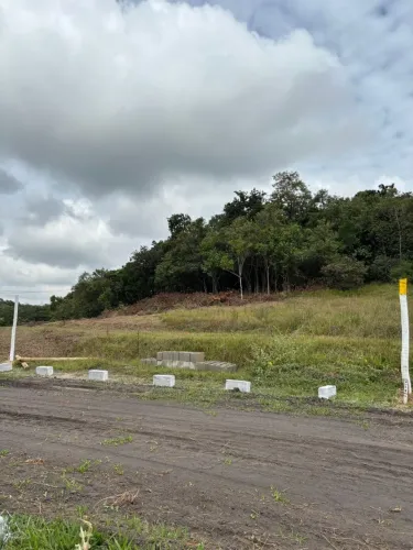 CONDOMINIO RURAL EM TINGUÁ