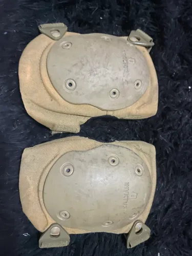 Joelheira Coyote invictus