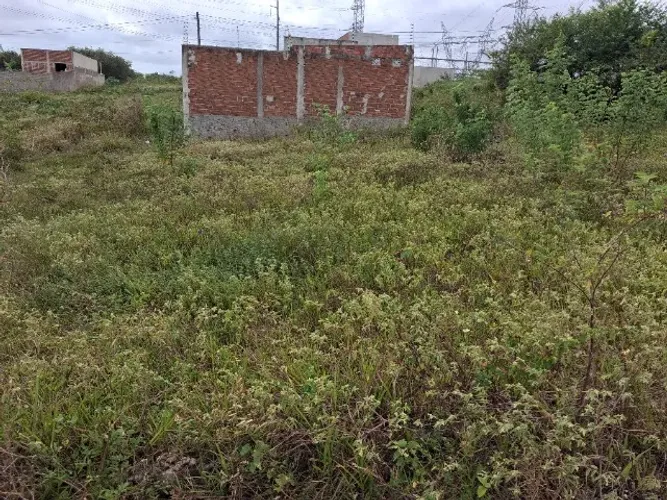 Cidade das rosas terreno (repasse)aceito propostas R$15.000,00