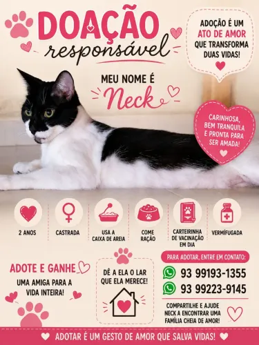 Doação responsável