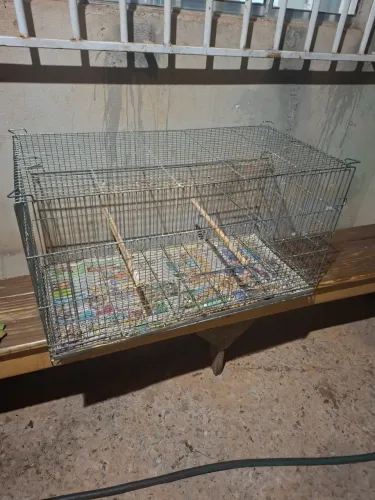 Gaiola para casal calopsita