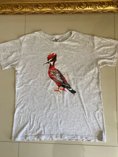 Camiseta Reserva grife masculina cinza com clássico pica pau G básica slim desapego