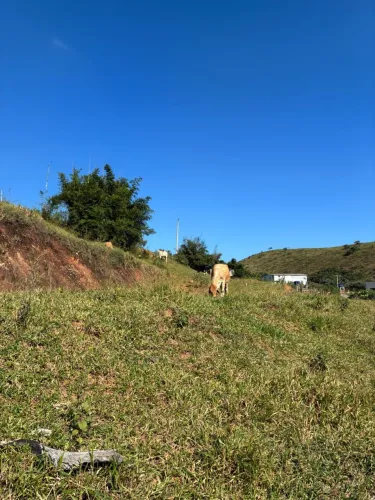 Vendo lote novo triunfo 