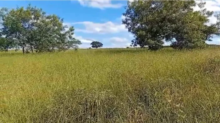 *Aluga-se pasto - 80 hectares*