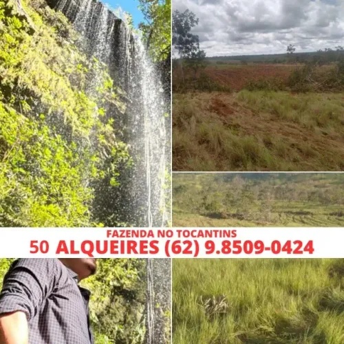 Fazenda de 50 Alqueiras Setor Bairro Regiao Cidade Tocantins Palmas Rua Chacara Sitio