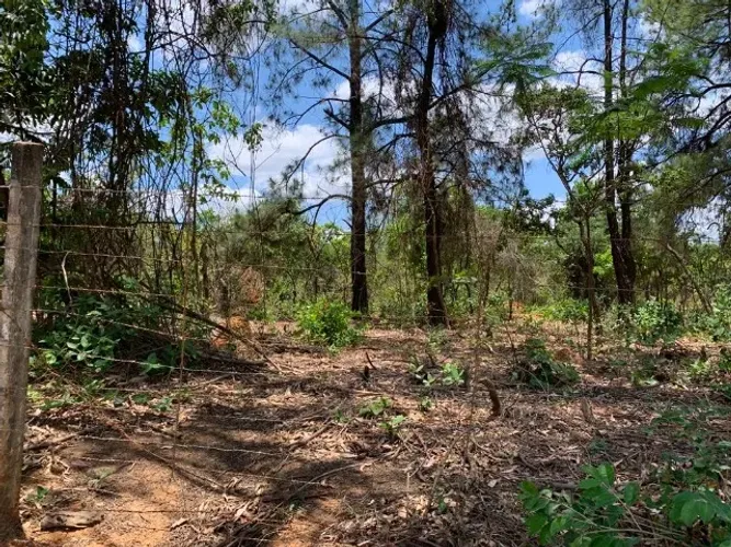 Lote 1.000m² no centro de Vargem Grande, Baldim (Temos várias opções). Baldim