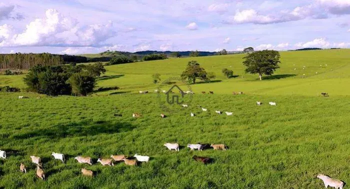 Fazenda à venda em Marília.