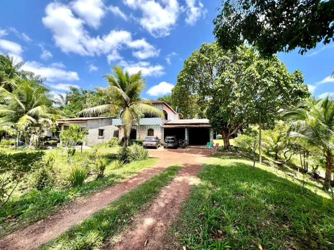 Sítio, 10.000m², 4/4 na Av. Independência