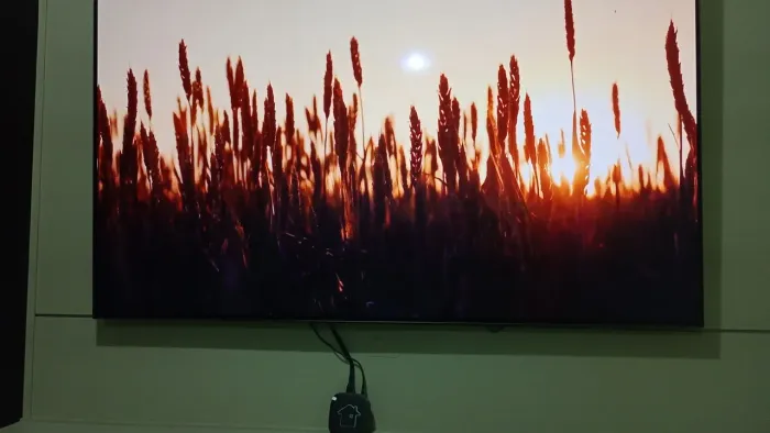 TV OLED A1 65 polegadas com detalhe pequeno na tela