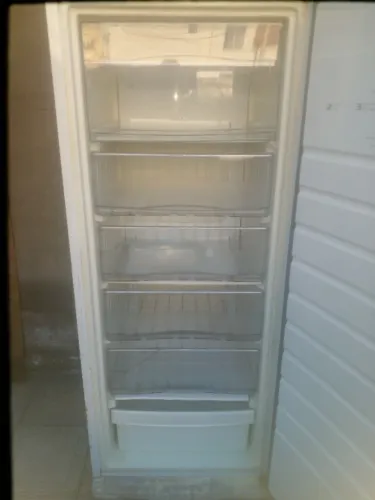 Freezer vertical