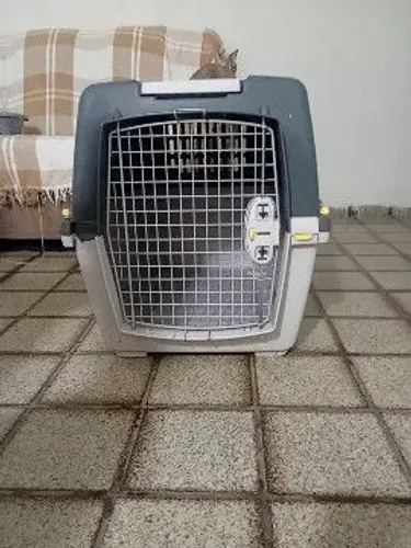 Caixa transportadora para cachorro do porte grande