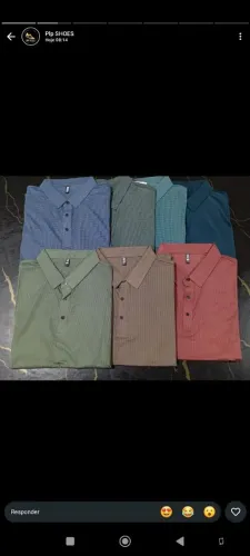 Camisa