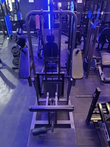 Flexora em pé