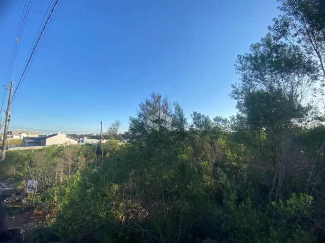 TERRENO EM LINHA JOÃO ALVES