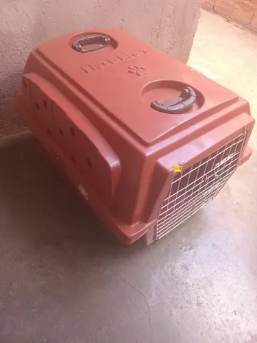 Gaiola pra transporte
