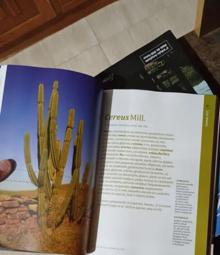 Livro cactos do Rio Grande do Sul