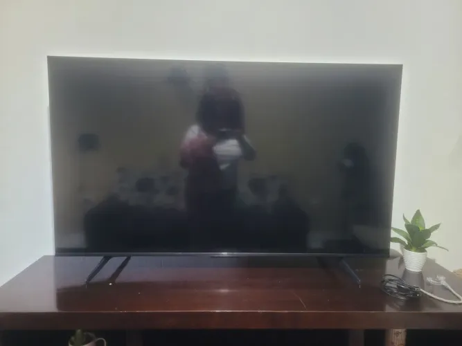 Televisão