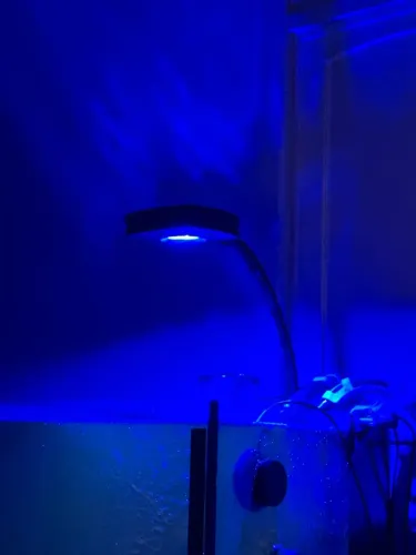 Aquailumination reef AI Hydra 16hd com suporte