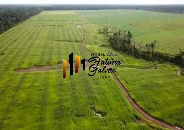 Vendo Excelente Fazenda com 2.210 Hectares em Tomé Açu/PA