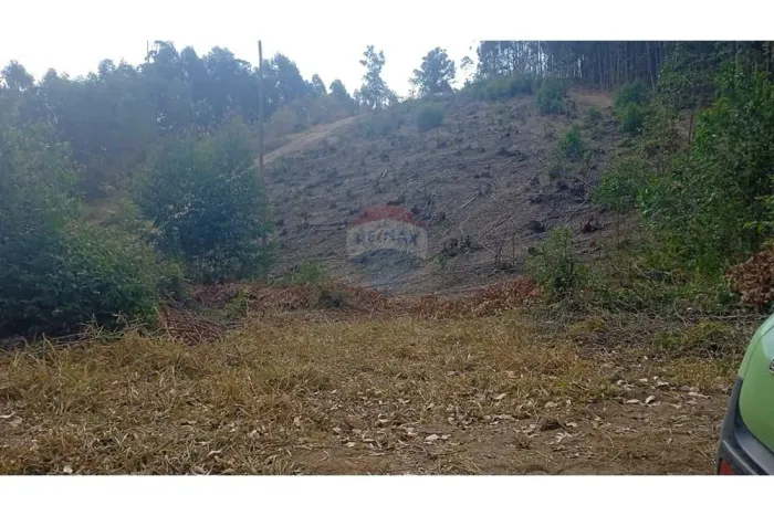 Terreno em Socorro à Venda: Natureza e Praticidade Unidas!
