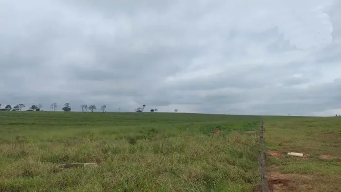 Fazenda para venda no PR. Noroeste.