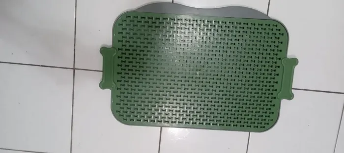 Pipi higiênico