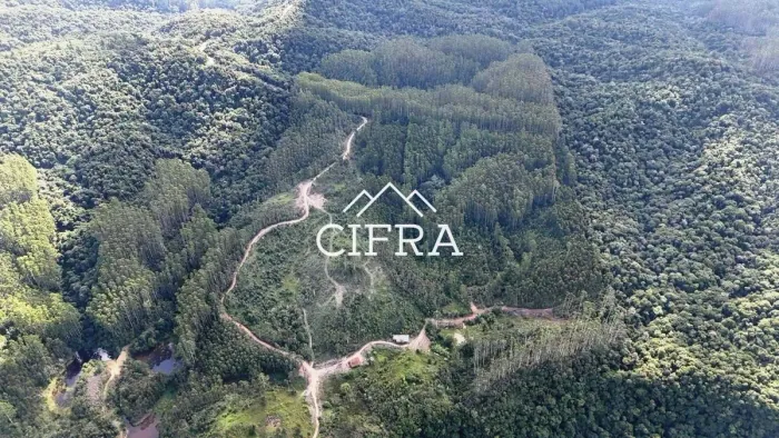 Terreno Rural - Sítio - Venda - 50 hectares - Reflorestamento - Investimento - Oportunidad