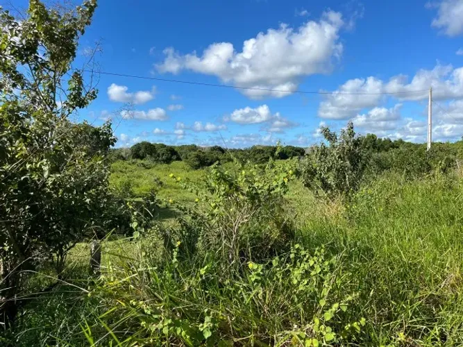 Fazenda de 44 hectares no município de Mucuri - BA.