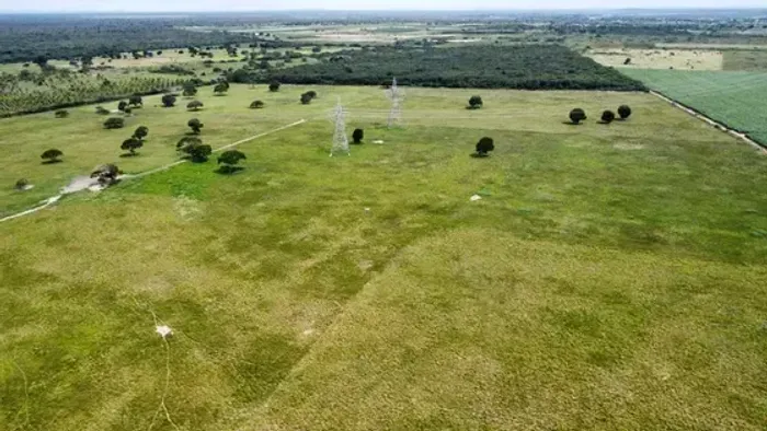 Excelente Fazenda com 142 hectares na região de Macaíba