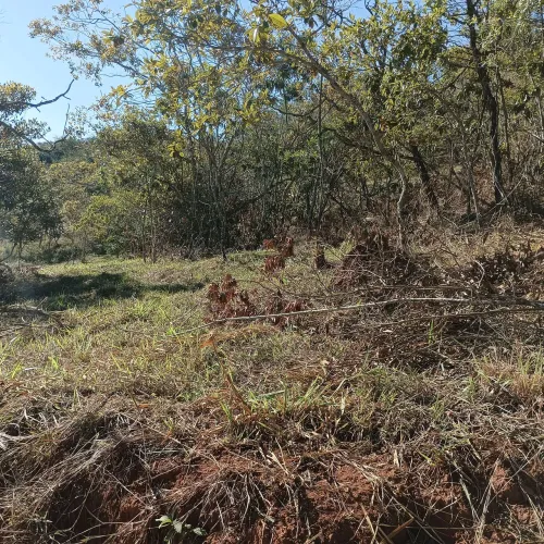 Lote em Área rural 