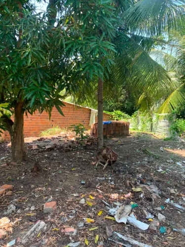 Terreno em Guaxuma MaceióAL
