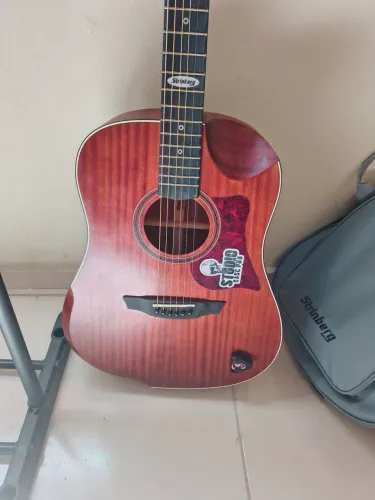 Violão Profissional Strinberg sd301 ZERADO