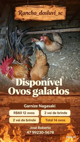 Ovos Galados Disponível Garnize Nagasaki
