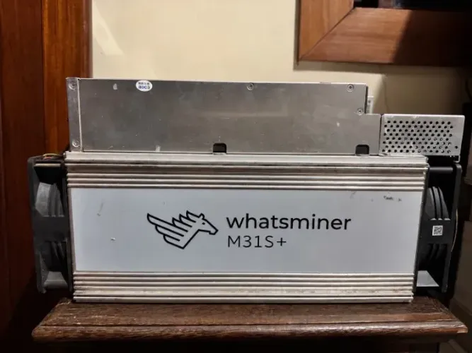 Whatsminer m31 e m31s
