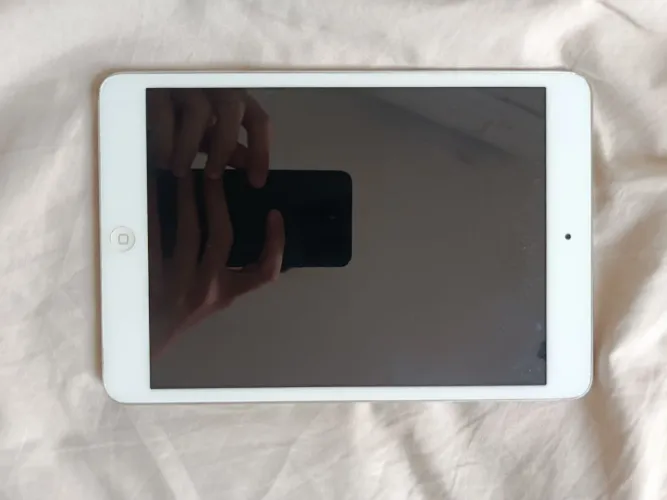 iPad mini 2