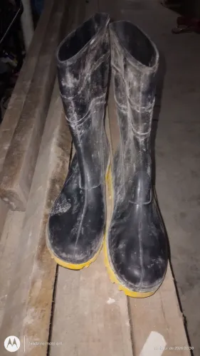 Bota sete léguas
