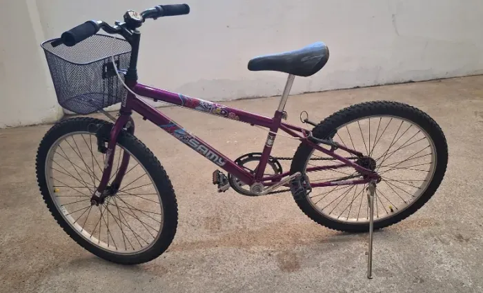 Bicicleta infantil feminina