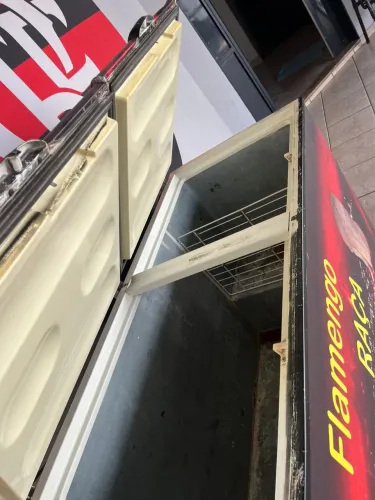 Freezer horizontal