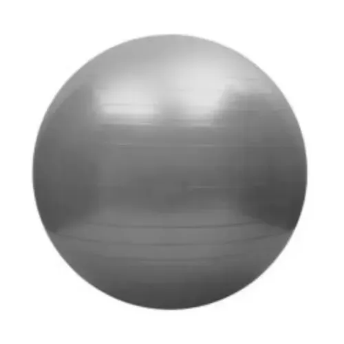 TROCO Bola de Pilates/Fisioterapia