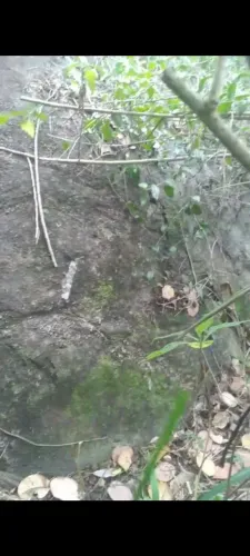 Pedra pra paralepipado