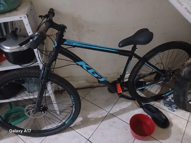 Bicicleta