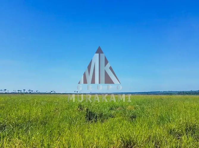 FAZENDA - PARANATINGA - MATO GROSSO
