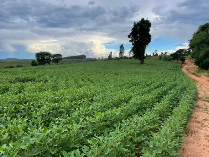 ? Sítio à venda ? Angatuba/SP | 40 alqueires Propriedade rural de dupla aptidão, pronta pa
