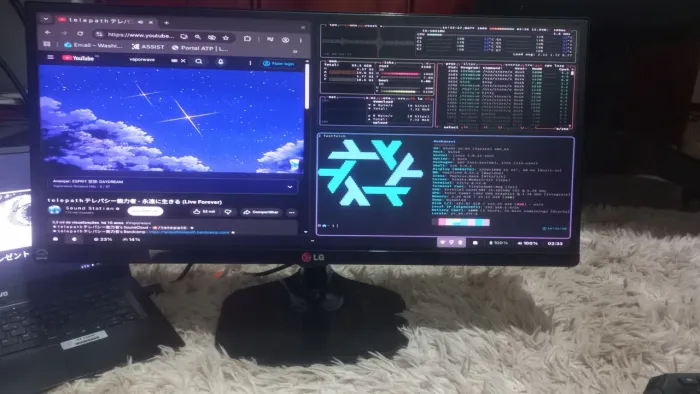 Monitor LG ultrawide usado