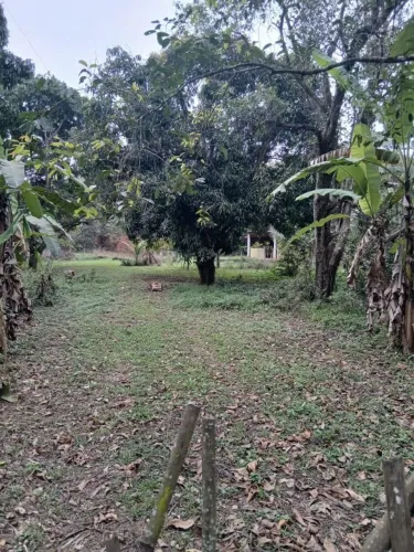 Terreno à venda, 10000 m² por R$ 200.000 - Luiz de Camões - Queimados/RJ
