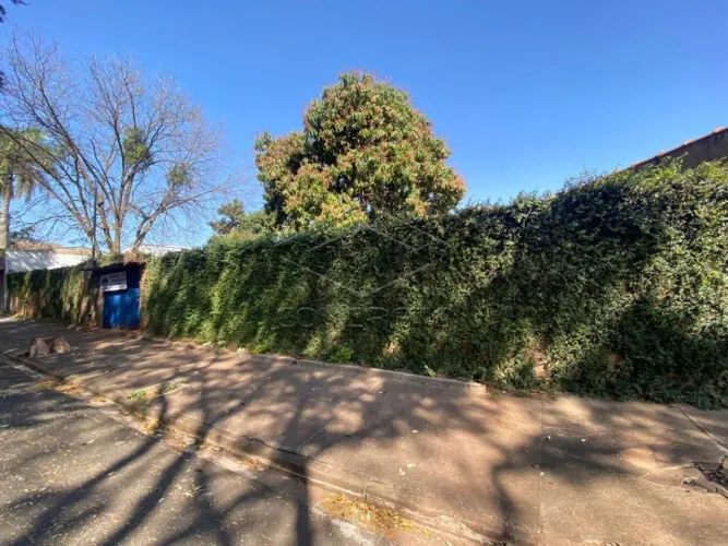 Terreno Padrão em Jaú